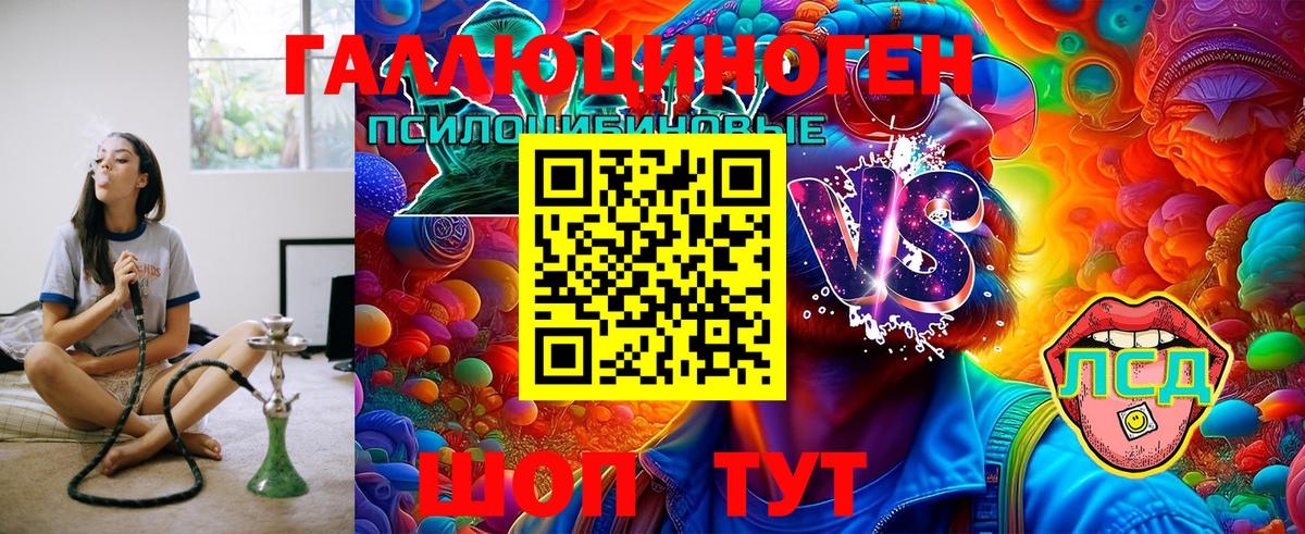Галлюциногенные грибы GOLDEN TEACHER  Галлюциногенные грибы прущие грибы  наркота  Вход с VPN  Михайловск 